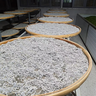 【莓茶】湖南湘西藤茶正宗龙须茶色泽透亮欢迎采购