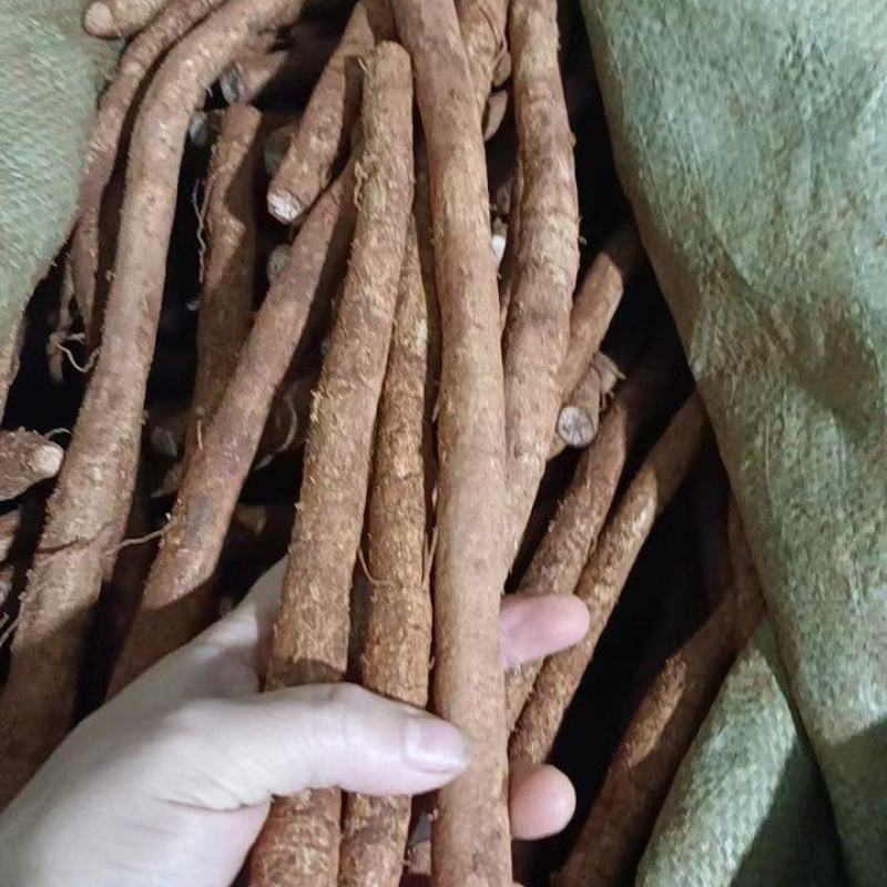 大叶粉质牛大力