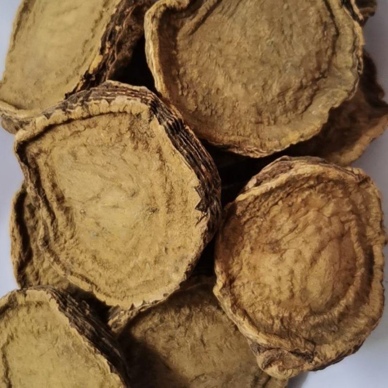 基地药用大黄，根黄，灰黄，系列加工