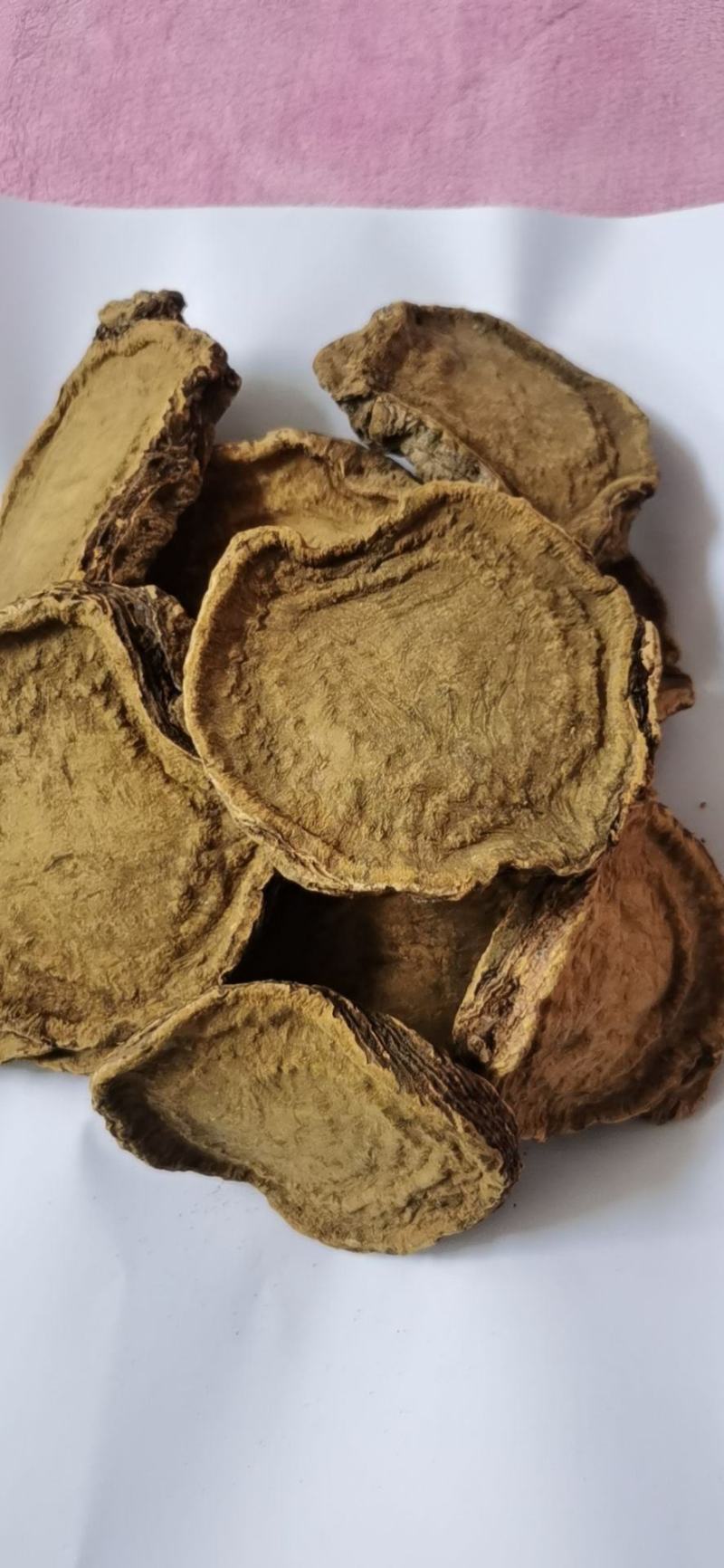 基地药用大黄，根黄，灰黄，系列加工