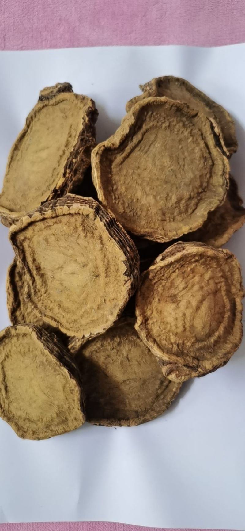 基地药用大黄，根黄，灰黄，系列加工