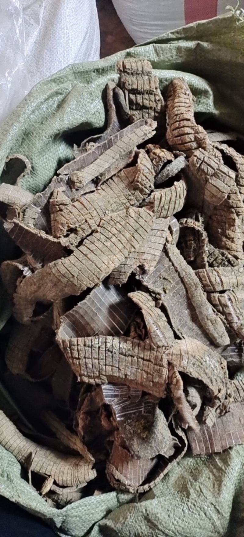 【热】精品广西杜仲皮产地直发，品质保证，量大从优