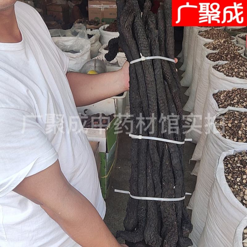 内蒙古阿拉善肉苁蓉软大芸油苁蓉男性滋补泡酒