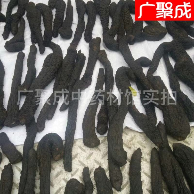 内蒙古阿拉善肉苁蓉软大芸油苁蓉男性滋补泡酒