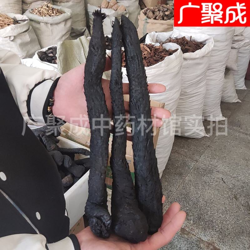 内蒙古阿拉善肉苁蓉软大芸油苁蓉男性滋补泡酒