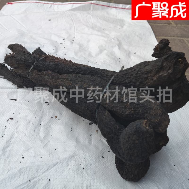 内蒙古阿拉善肉苁蓉软大芸油苁蓉男性滋补泡酒
