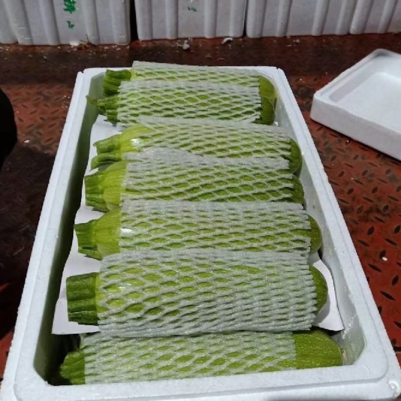 【西葫芦】大量上市产地直发货源充足。