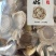 拍一发五包3-6cm庆元香信菇野菌培育品质保证