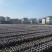 【产地活动】买一送四袋庆元香信菇野菇菌丝培育而成