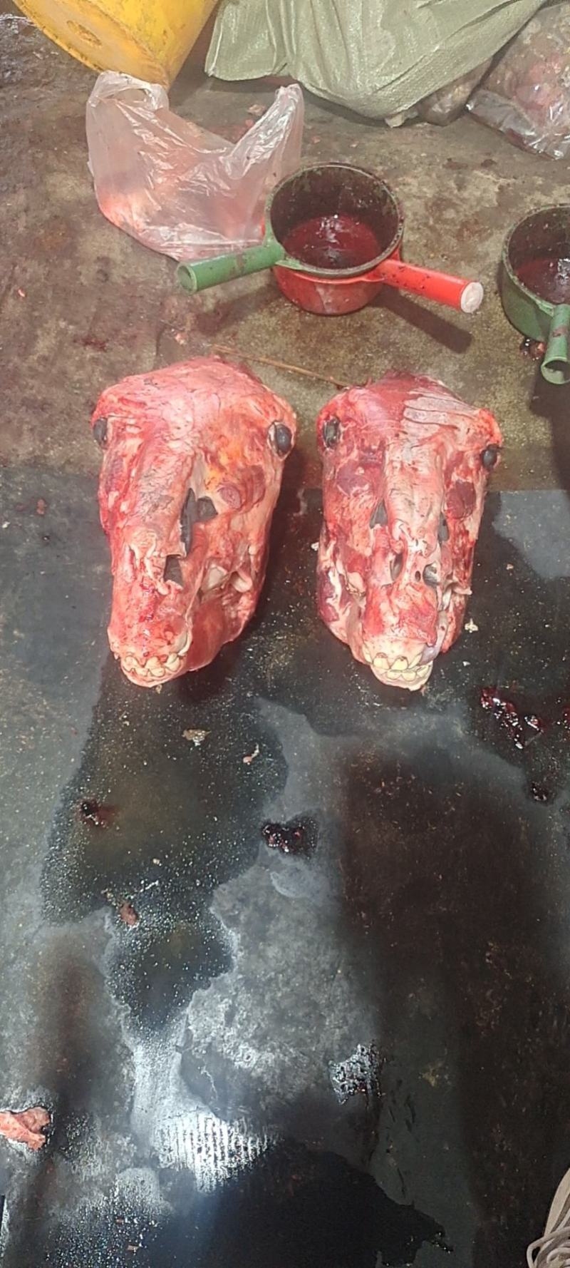 新鲜带皮驴肉全国发货上门屠宰质量保证