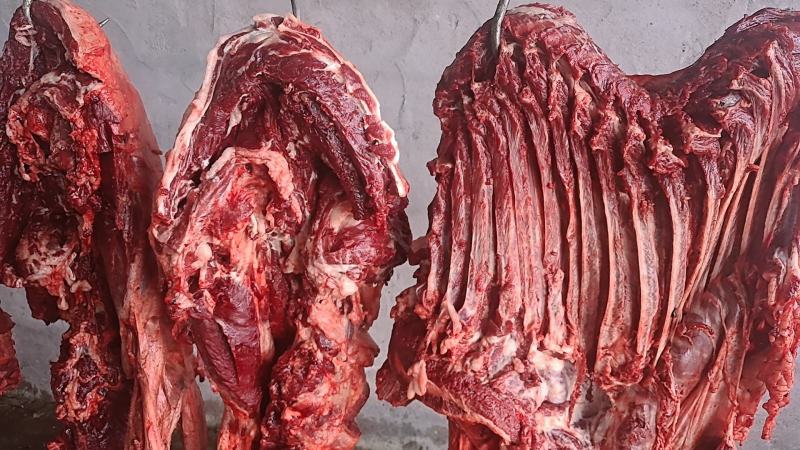 新鲜带皮驴肉全国发货上门屠宰质量保证
