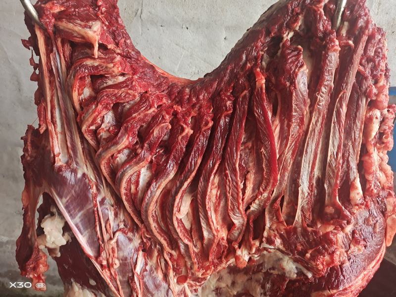 新鲜带皮驴肉全国发货上门屠宰质量保证