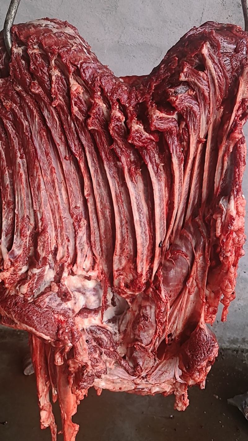 新鲜带皮驴肉全国发货上门屠宰质量保证