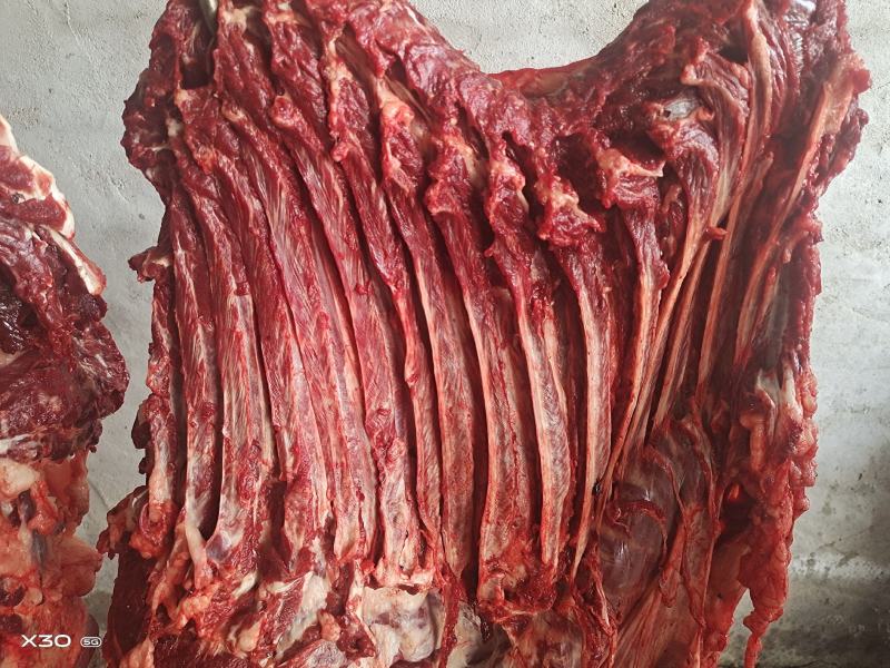 新鲜带皮驴肉全国发货上门屠宰质量保证