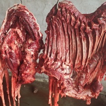 新鲜带皮驴肉全国发货上门屠宰质量保证