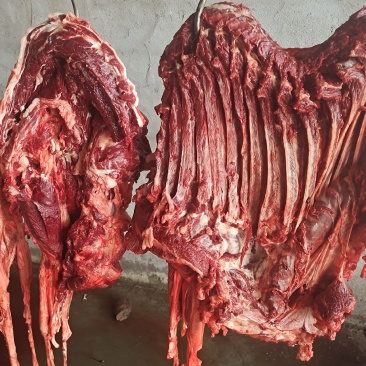 新鲜带皮驴肉全国发货上门屠宰质量保证