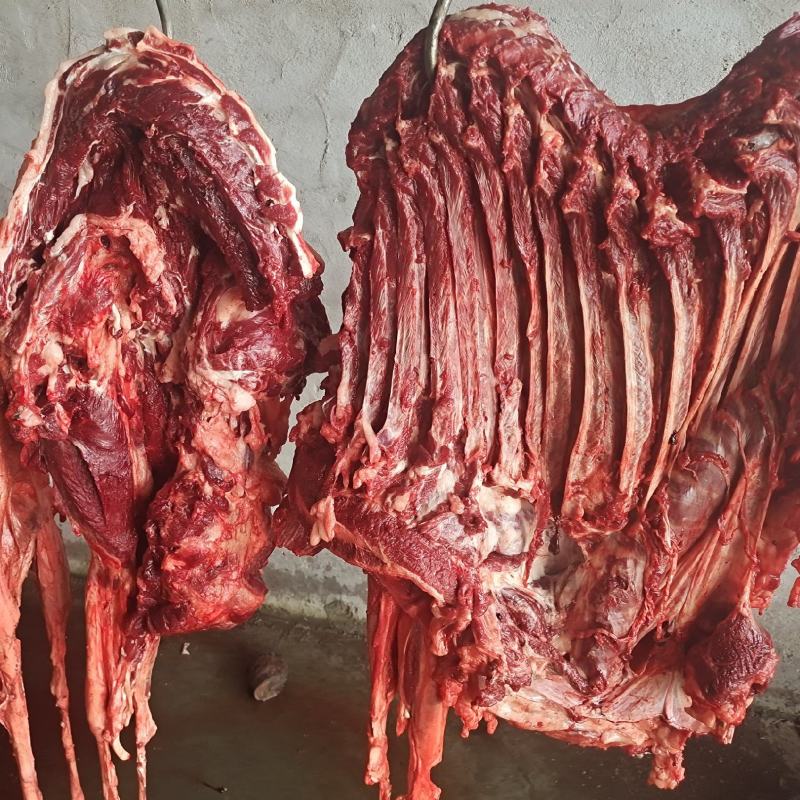 新鲜带皮驴肉全国发货上门屠宰质量保证