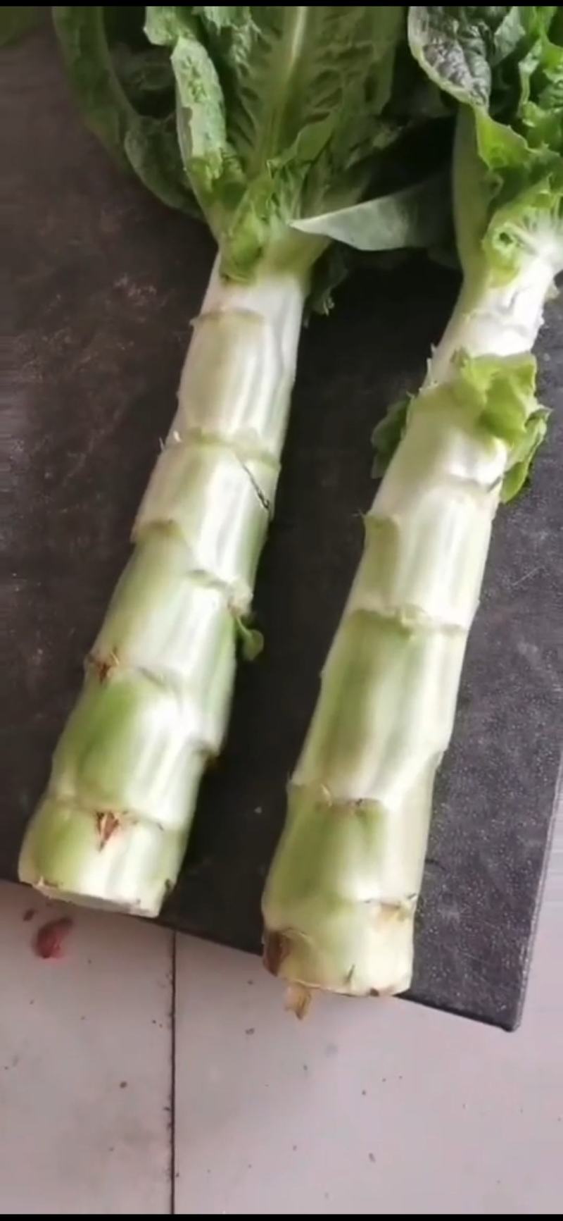 红尖叶莴笋香笋大量上市