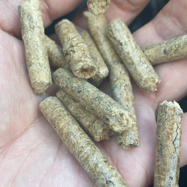 稻壳生物质颗粒