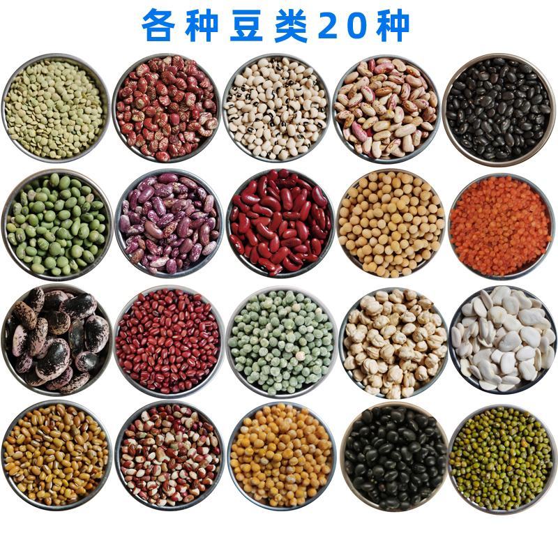 芸豆杂芸豆混合装熬粥杂芸豆五谷杂粮杂芸豆5斤装包邮