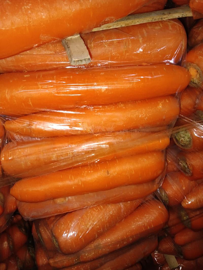 【精选】胡萝卜，一手货源，产地直供，可视频或者实地看货