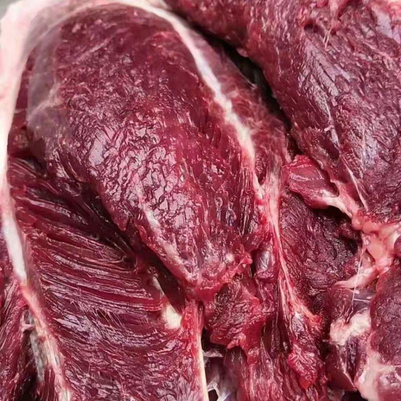 腱子肉