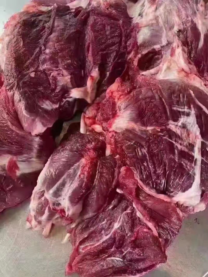 腱子肉