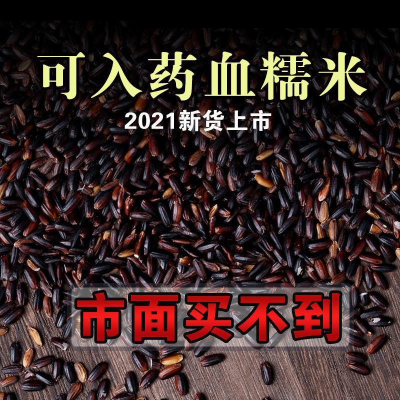 糯米黑糯米东北血糯米黑糯米农家黑糯米5斤装包邮
