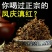 云南滇红茶叶金芽毫春新茶凤庆古树花蜜浓香型送礼盒散装