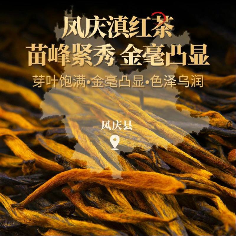 云南滇红茶叶金芽毫春新茶凤庆古树花蜜浓香型送礼盒散装