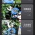 包邮电动剪锂电剪枝修枝剪充电果树粗枝剪园林苗木剪枝树枝剪