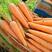 三红胡萝卜🥕大量有货，供应工厂，电商，商超，10吨起售
