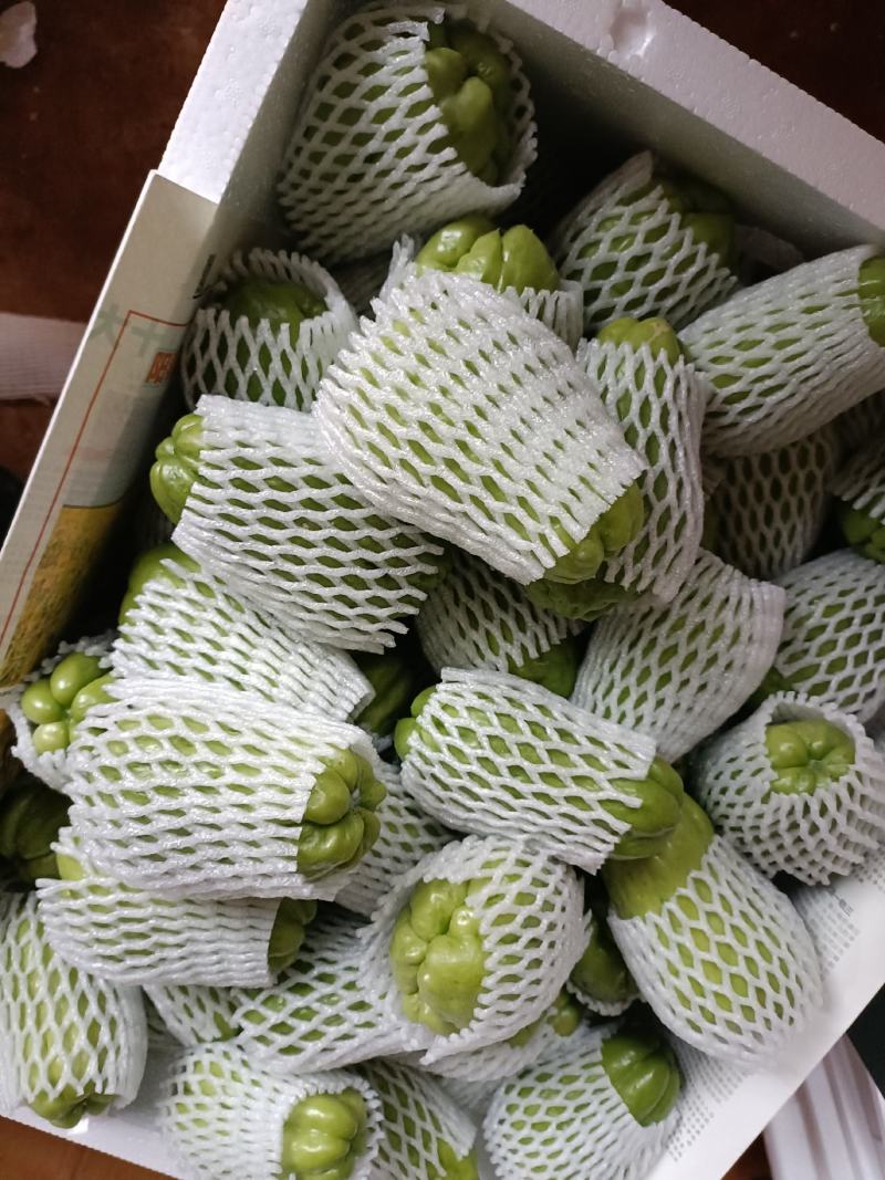 产地直供佛手瓜