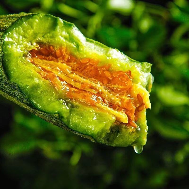 山东莘县果蔬**县博洋61头茬甜瓜，产地直发直销