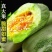 山东莘县果蔬**县博洋61头茬甜瓜，产地直发直销