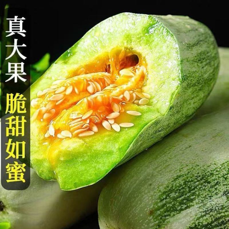 山东莘县果蔬**县博洋61头茬甜瓜，产地直发直销