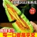 山东莘县果蔬**县博洋61头茬甜瓜，产地直发直销