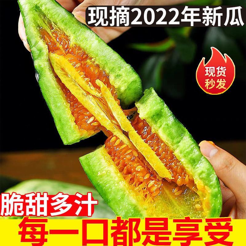 山东莘县果蔬**县博洋61头茬甜瓜，产地直发直销
