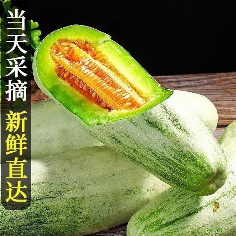山东莘县果蔬**县博洋61头茬甜瓜，产地直发直销