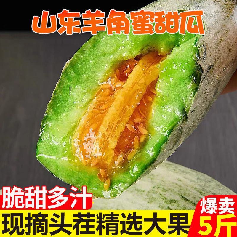 山东莘县果蔬**县博洋61头茬甜瓜，产地直发直销