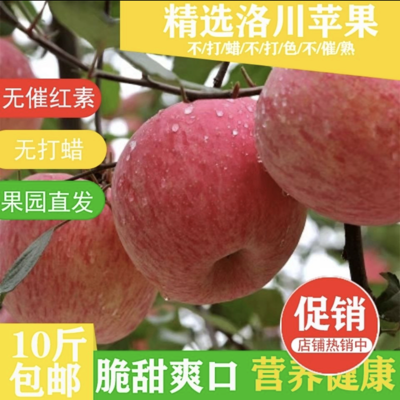 洛川苹果产地直发无限供货一件代发社区团购陕西延安洛川苹果