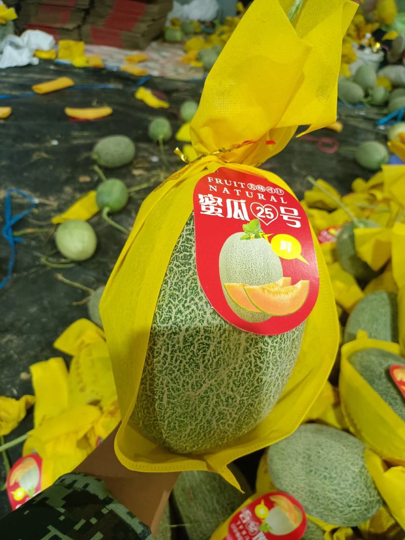 海南哈密瓜大量上市，可供应电商平台，超市，批发市场