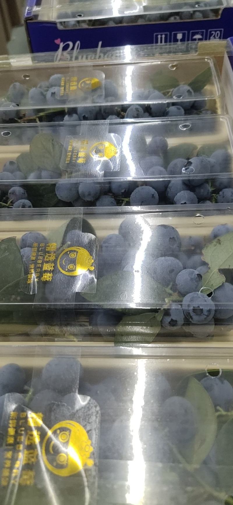 蓝莓热销中