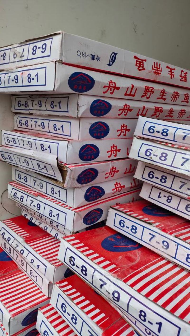 舟山带鱼大量批发