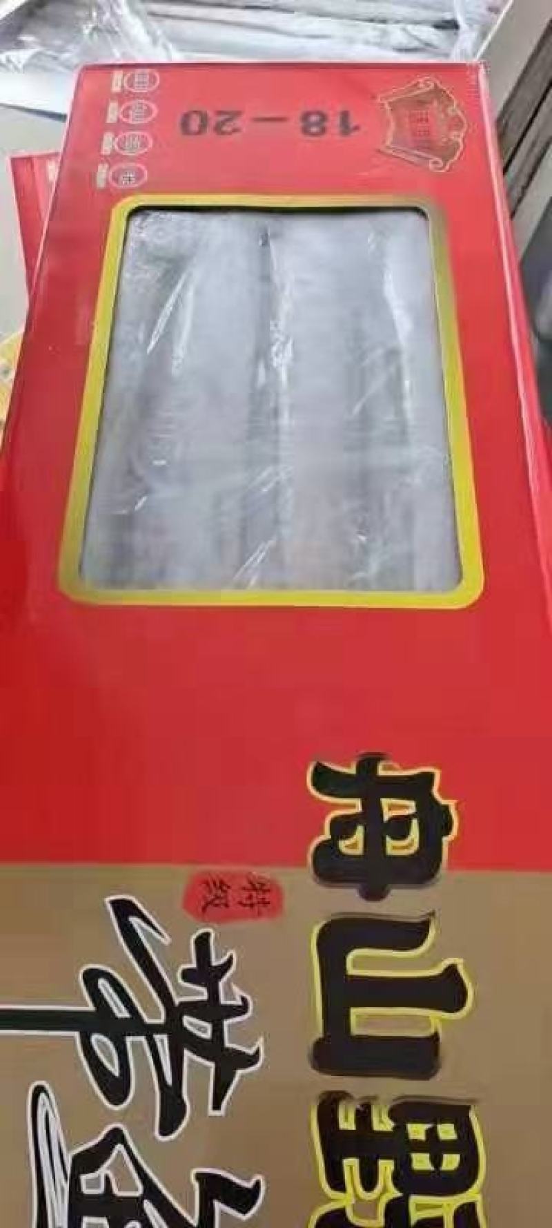 舟山带鱼大量批发