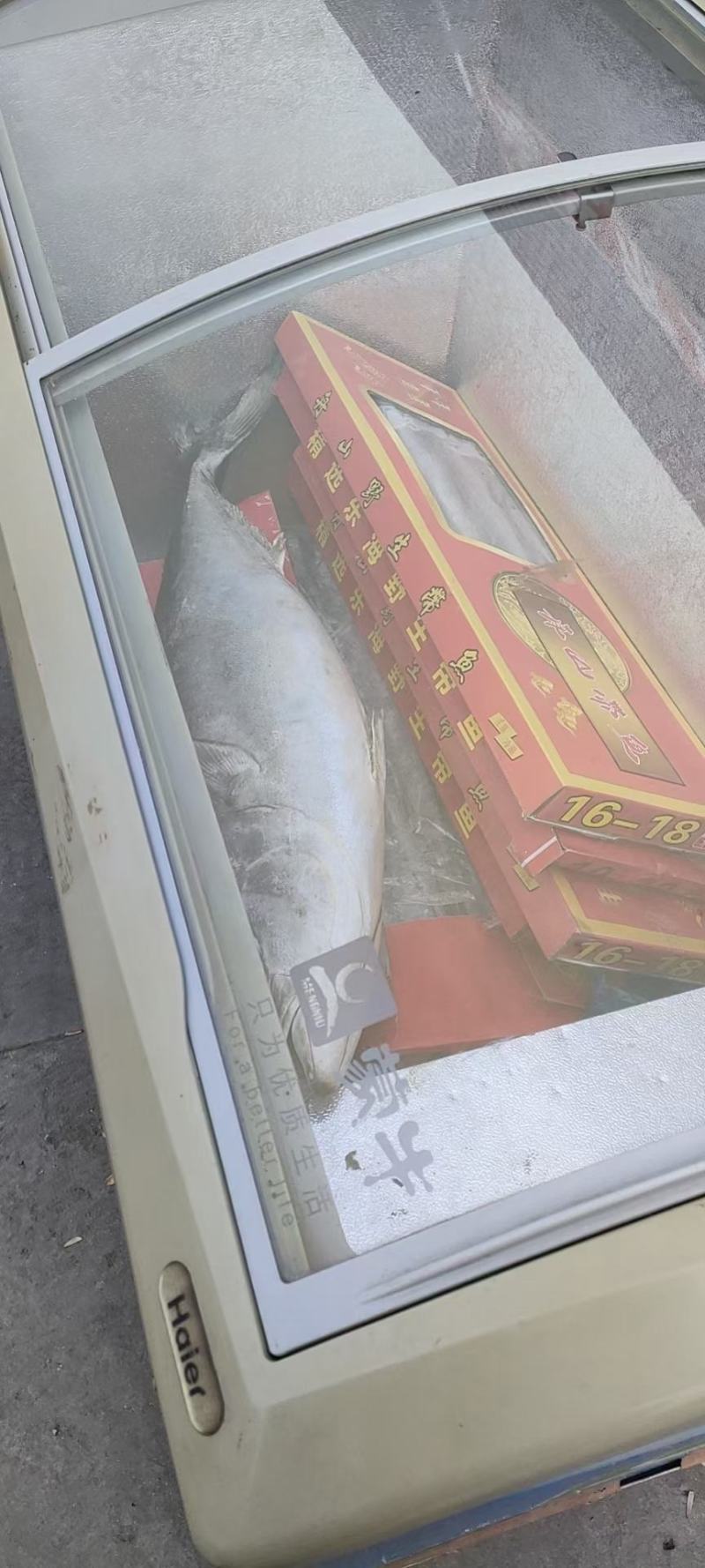 舟山带鱼大量批发