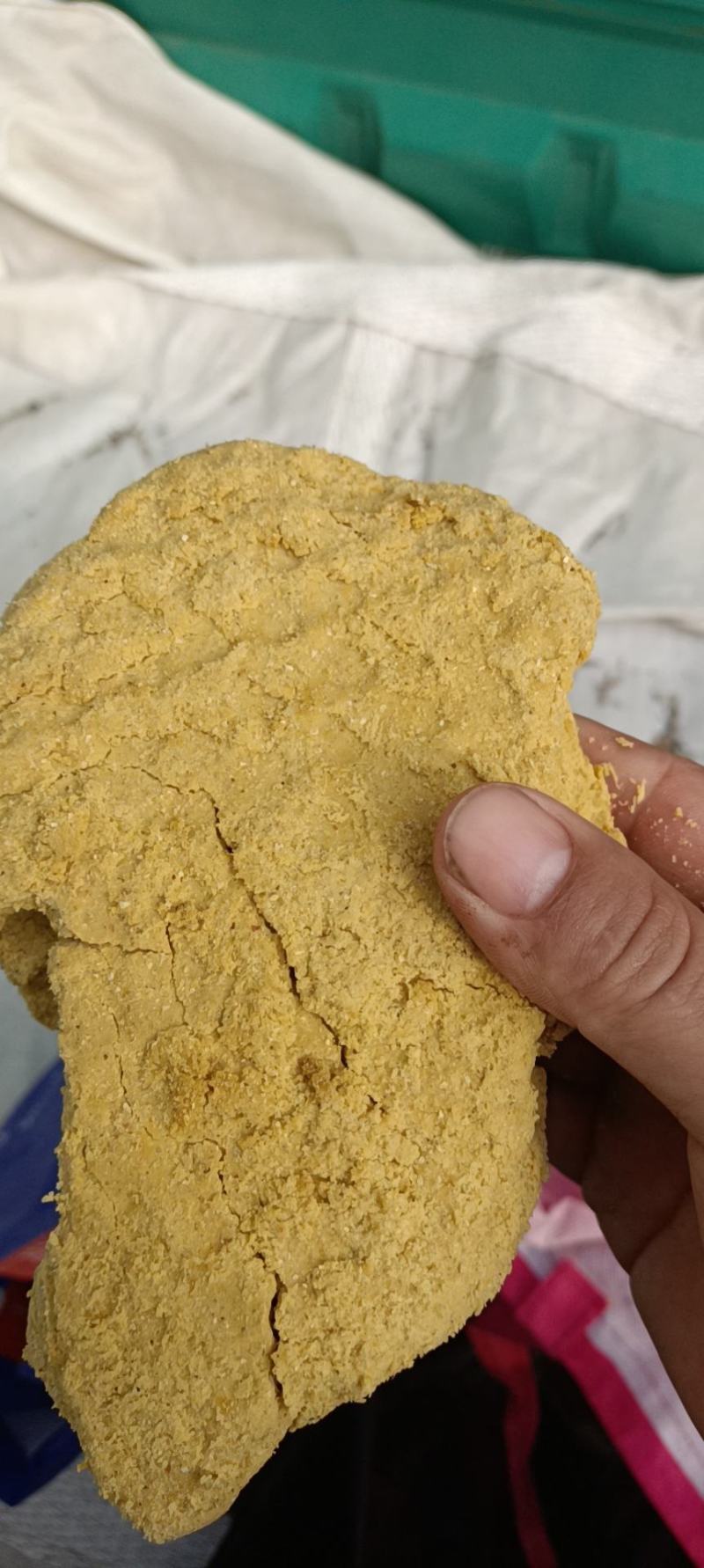 酒糟渣！纯玉米下角料酸甜可口适合牛羊猪鹅鱼等！