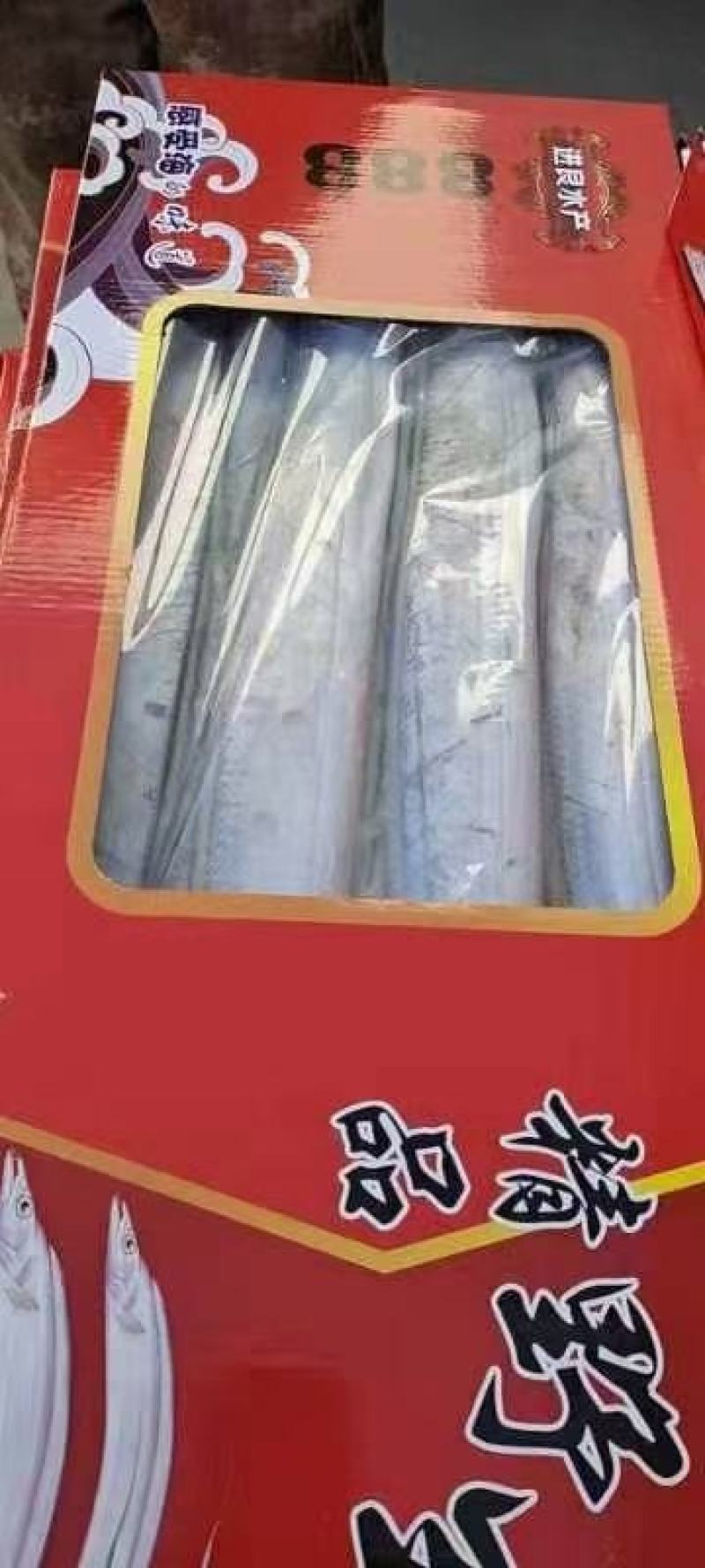 舟山帶魚大量批發