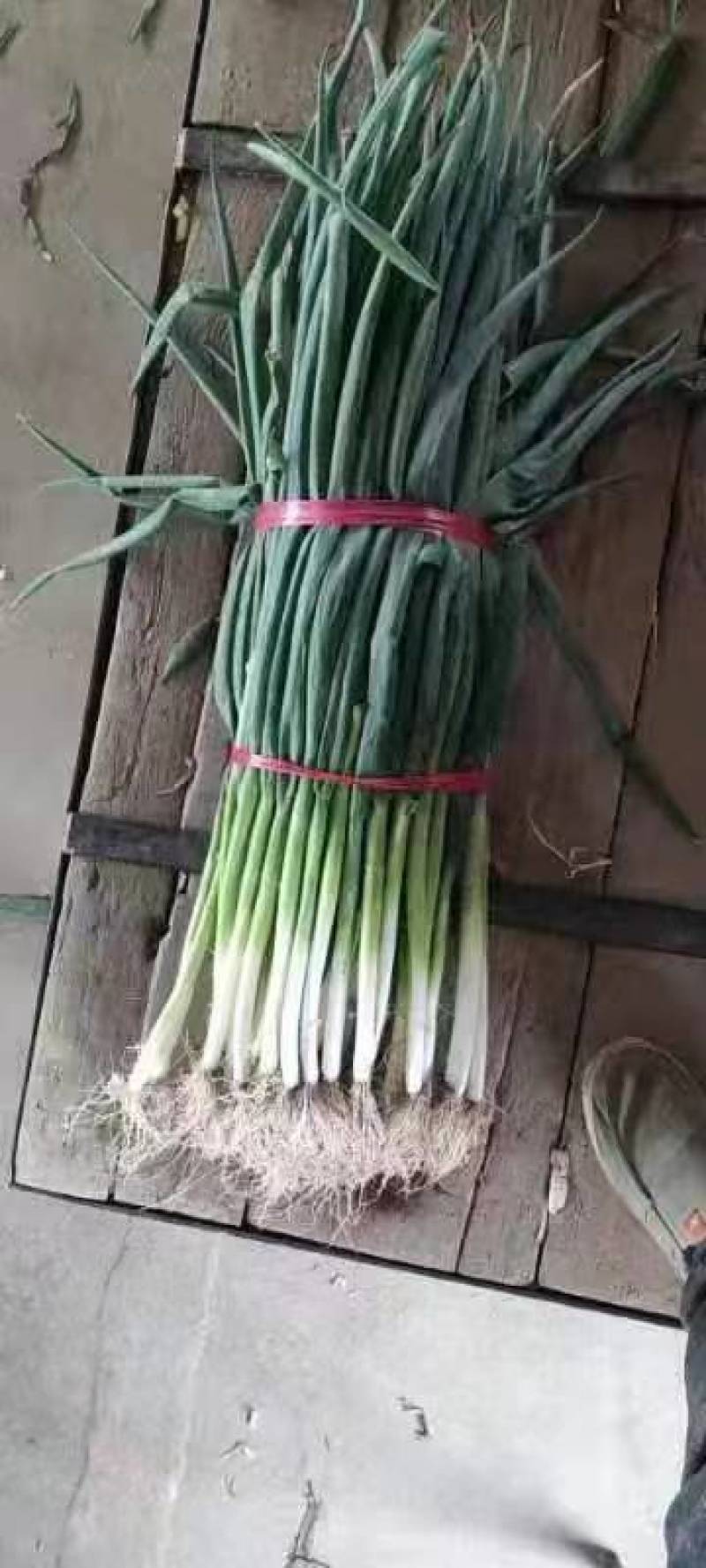 长白有货