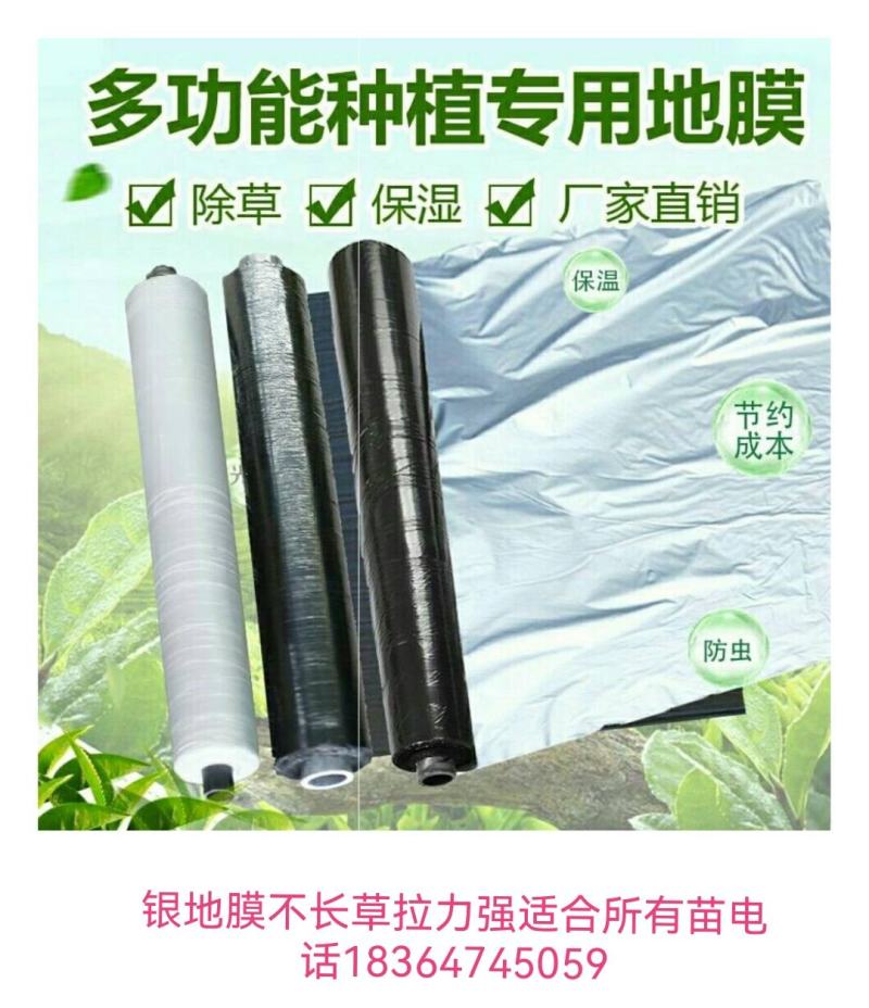 银地膜，30，60，80.1米.2米白色地膜各种尺寸